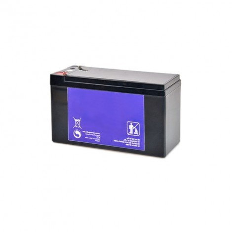 Batterie pour portique de détection de métaux Vigicom® PS-980